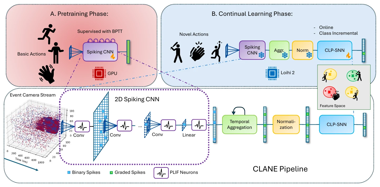 CLANE pipeline: a spiking CNN is pretrained on basic actions on a GPU, then frozen on Loihi 2 where temporal aggregation, normalization and a CLP-SNN head learn novel actions online from the event-camera stream.